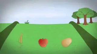 Pesticides in Perspective - Residues in food