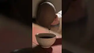 Brewing Shou Puerh 