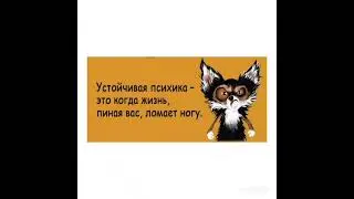 Совет дня 🤗 Не жди, что станет легче, учись быть счастливым прямо сейчас....