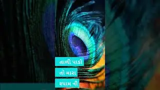 Kinjal Dave New tali pado to mara shyam ni full screen status