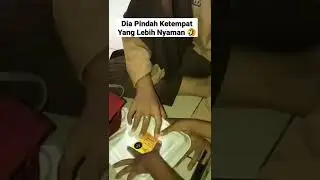 Video Lucu Bikin Ngakak #shorts #videolucuterbaru