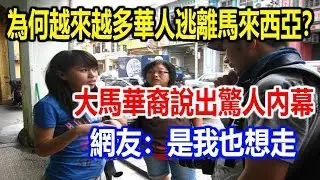 為何越來越多華人逃離馬來西亞？大馬華裔披露驚人內幕，網友：是我也想走