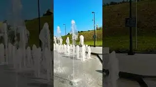 Дмитров москва