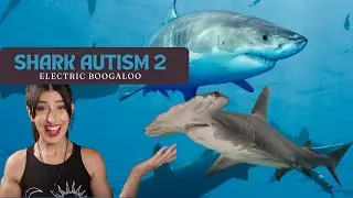 Shark Autism 2: Electric Boogaloo