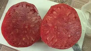 About tomato varieties SPRINT TIMER 2