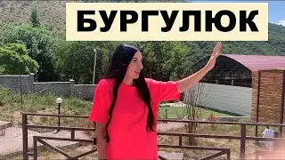 Ущелье Біркөлік (Бургулюк), зона отдыха 
