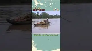 Kênh Chợ Lách năm 2005