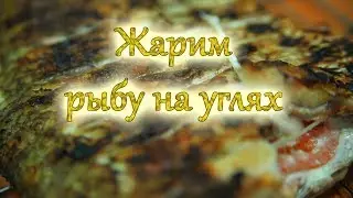 Жарим рыбу на углях