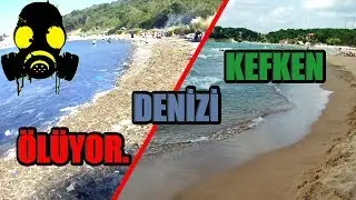 KEFKEN Denizi Ölüyor.