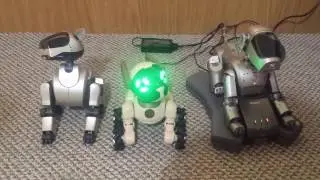 1 CHiP and 2 aibos