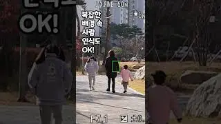 소니 A7R5 자동차 새 그리고 비행기 AF 도전 근데?
