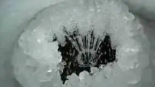 Fiore ghiaccio musica.wmv