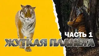ЖУТКАЯ ПЛАНЕТА Самые опасные животные мира. Амазония