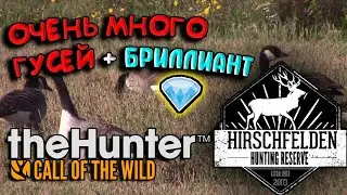 The Hunter Call of the Wild. 🦢ОХОТА НА ГУСЕЙ 😲ВЫ СТОЛЬКО ГУСЕЙ НЕ ВИДЕЛИ (НЕТ)👓 БРИЛЛИАНТОВЫЙ ГУСЬ💎