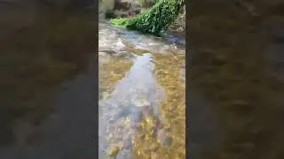 16 de março de 2023