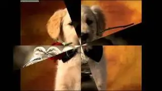 Generacija 5-Ti samo budi dovoljno daleko