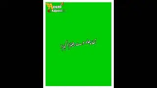 Chaya| TikTok varal song | Saraiki song green screen status
