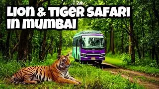 Explore Lion & Tiger Safari at Sanjay Gandhi National Park | Borivali National Park | 2025