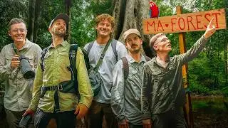Deep in the rainforest with Malte Zierden, Broder, Robinga and Jacob