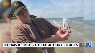 What happens if E. coli is found in the water at your favorite beach?