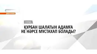 Сұрақ—жауаптар