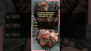 Викторина о животных. Часть 18 