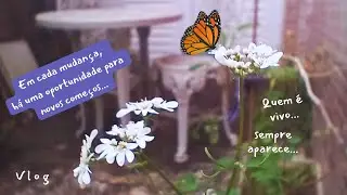 V l o g l Holiday l Cold l Cats l Progressive l TRG Therapy l Head Talk l Butterflies l Photography