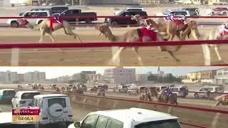 البث المباشر | موقع لبرقه .. لسباق اللقايا العام (بمهرجان جائزة الملك عبدالعزيز للهجن) مساء 6-1-2023