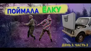 Живем НЕДЕЛЮ В ЛЕСУ. 3 день, 2 часть