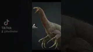 The Murder Chicken