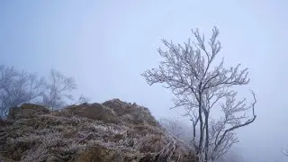 Sonido de Viento con Neblina - Sound of Misty Wind