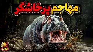 اسب آبی، پرخاشگر، نترس  و بی رحم حتی در مقابل پرقدرت ترین ها
