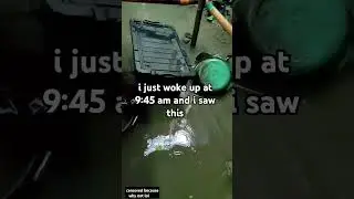 when did this happen (EXPLAIN WHY  AT THE COMMENTS)