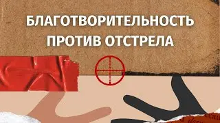 БЛАГОТВОРИТЕЛЬНОСТЬ ПРОТИВ ОТСТРЕЛА: КАК ПОМОЧЬ БЕЗНАДЗОРНЫМ ЖИВОТНЫМ?