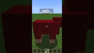 Colorful🌈 Sheep in Minecraft!?! #shorts #minecraft