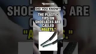 Did you know | Fact #18