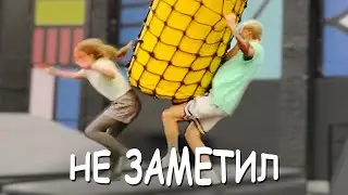 осторожно свин бежит