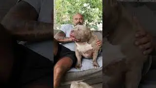 Me and my boy MR.CUB extreme american bully pocket The biggest în The WORLD