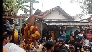 BANTENG SUROO Jaranan SRIJOYO MUDO live Penjor Tembelang