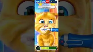 Toothbrush Time - Talking Ginger