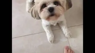 FOTOS DA CACAU - Laly : )