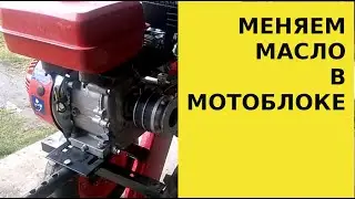 Замена масла в двигателе мотоблока // Обслуживание мотоблока.