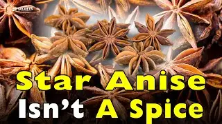 Is Star Anise the MOST POWERFUL Spice in Your Kitchen?