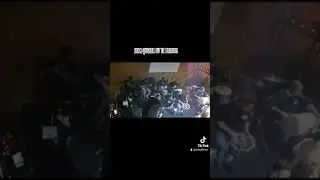 SAMBA DO BALU - GRADES DO CORAÇÃO - REVELAÇÃO