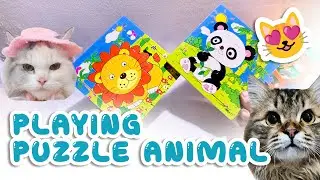PLAYING PUZZLE ANIMAL PANDA & LION TOYS WITH CUTE CAT | BINGGO CHANNEL