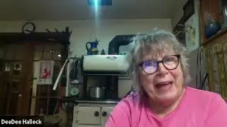 Virtual Talks with Video Activists: DeeDee Halleck