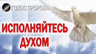 ИСПОЛНЯЙТЕСЬ ДУХОМ 🔥