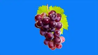 Motion fruit green screen/ motion grape green screen footage Background
