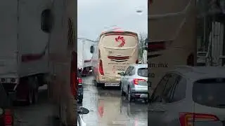 ¡Rifados los rines de este autobús de Primera Plus! #custom  #transportepublico #carros #viral