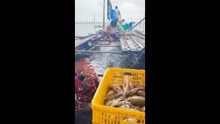 Kinaragahan ni buyok ng isat kalahating toneladang tilapia ang aming bangka,binenta namin sa bayan